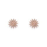 Rose Gold Sparkling Sun Studs - LIORA - 925 Silver Jewellery